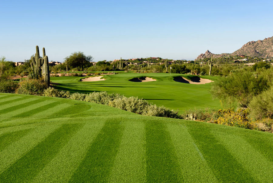 Desert Forest Golf Club - Extra