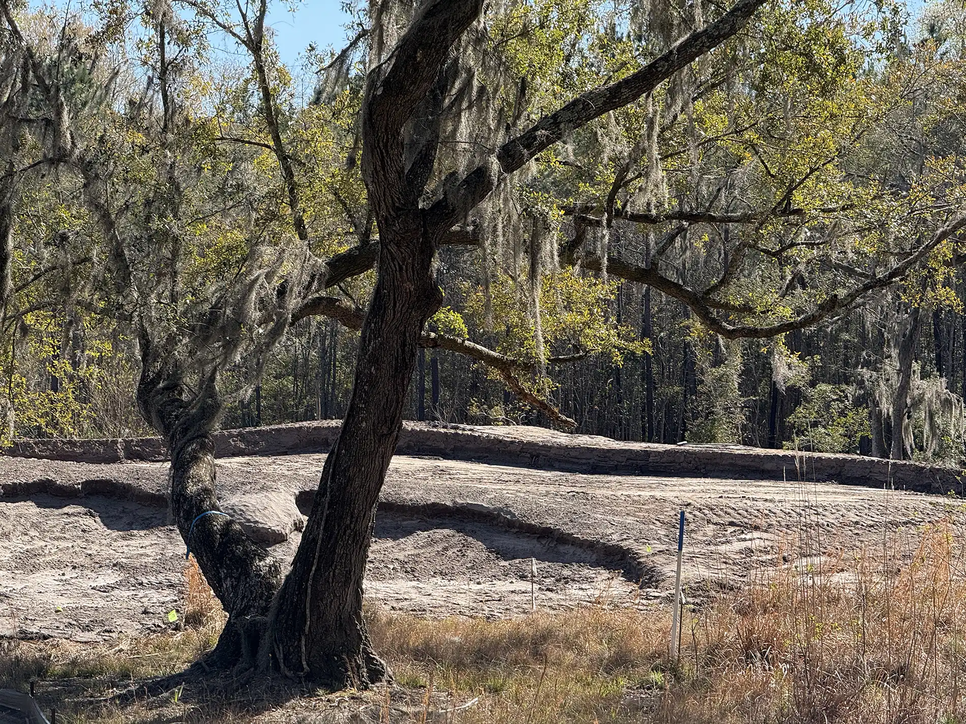 Unique New 12-Hole Golf Course Coming To Chechessee Creek Club