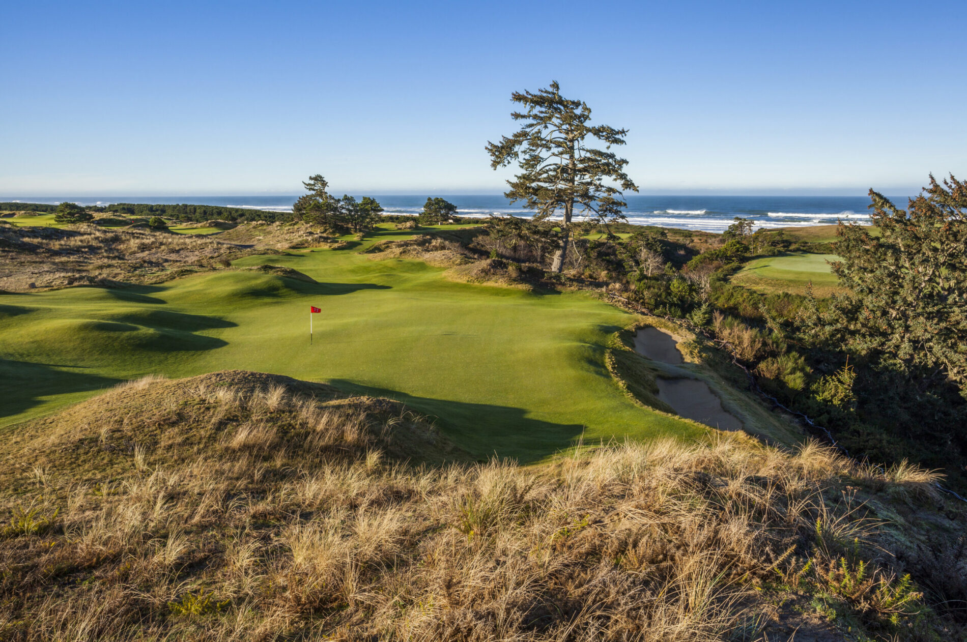 David Zinkand joins Derek Duncan on the Feed the Ball podcast to talk about his work at Bandon Trails and Bandon Preserve